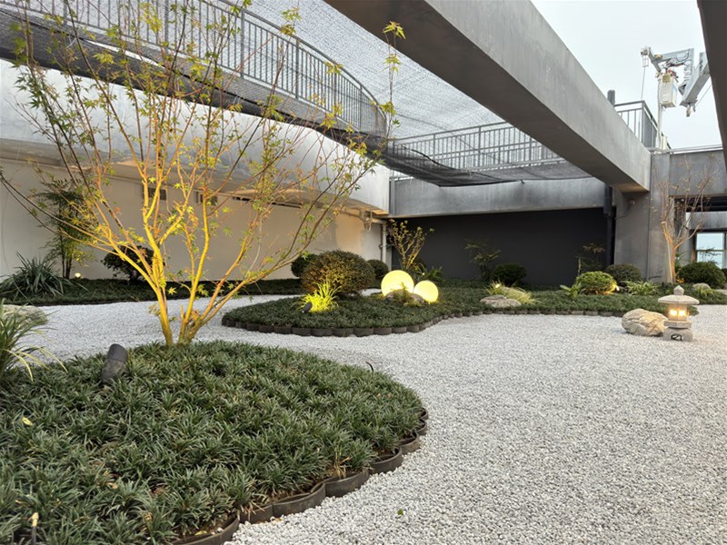 屋頂花園——城市中的私屬綠洲